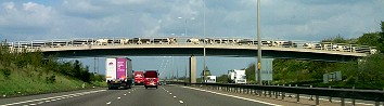 Picture of cows crossing the motorway over a bridge