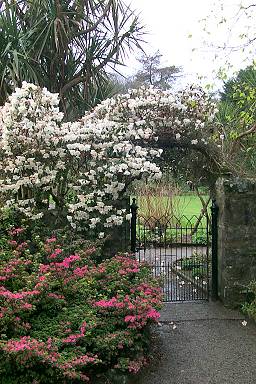 Picture of the entrance to the walled garden