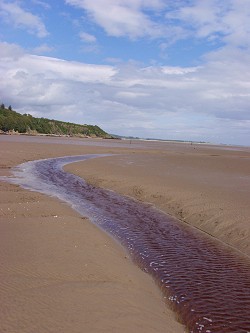 Picture of the beach near Sandyhills