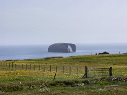 Picture of Dore Holm