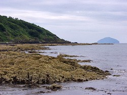 Picture of the shore with a view along the coast to Ailsa Craig