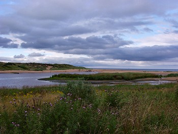 Picture of Donmouth Nature Reserve