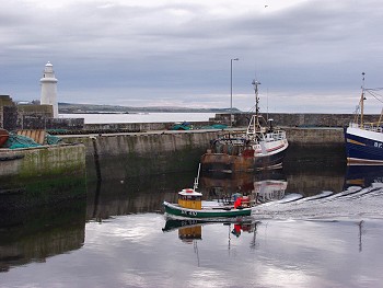Picture of Macduff harbour