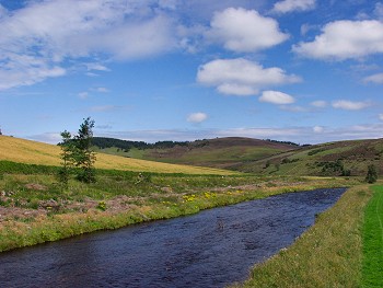 Picture of River Don