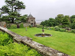 Picture of the garden