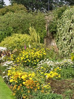 Picture of herbaceous borders